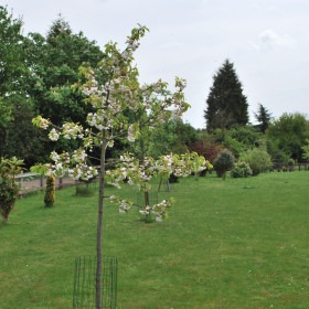 large garden